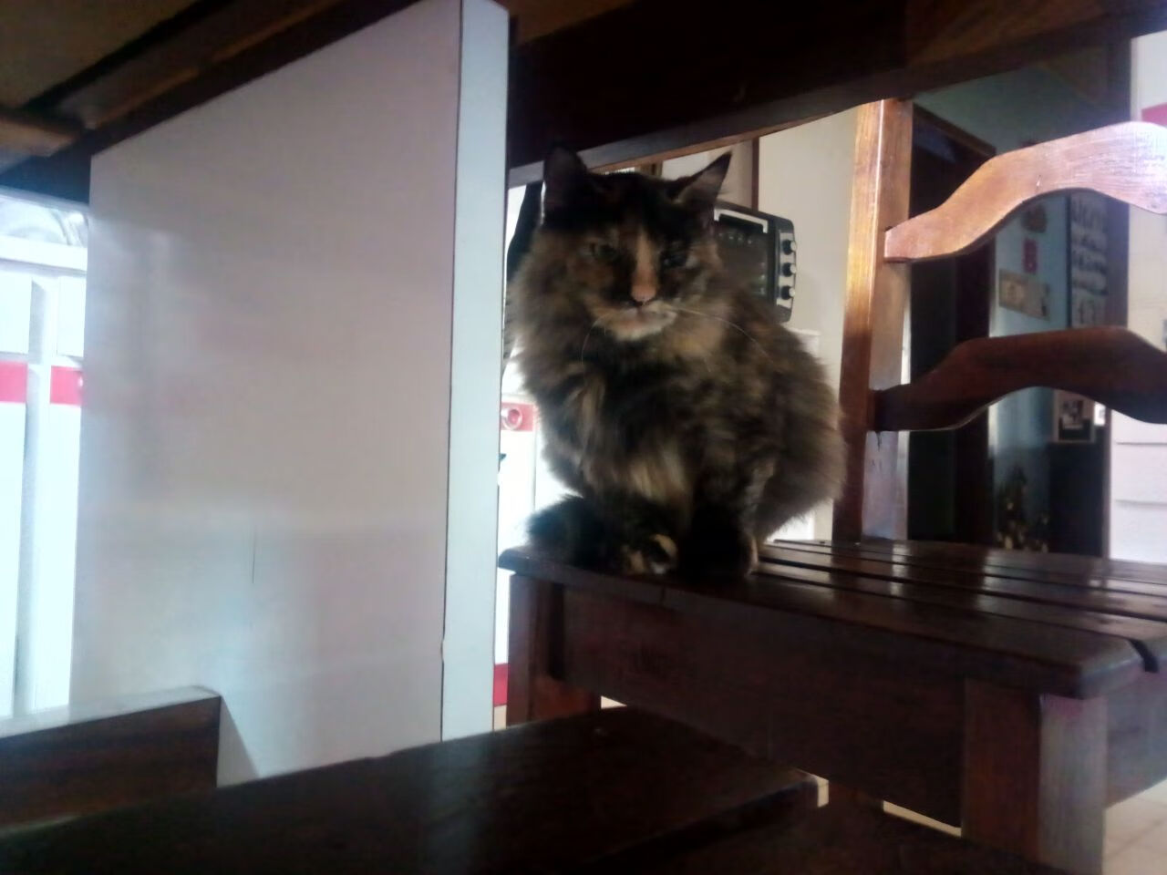 开云体育中国官网-《电竞选手的背后:训练营揭秘》,电竞选手训练的地方叫什么