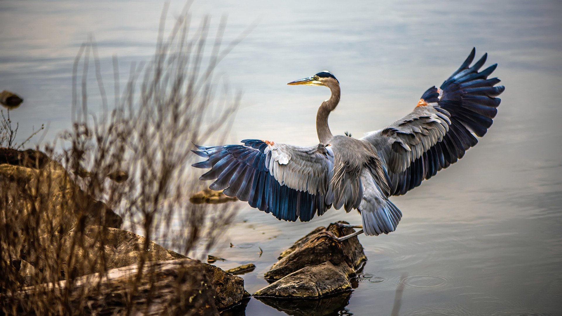 开云·体育全站登录地址-哥伦比亚反曲弓男队首次晋级奥运会，哥伦比亚反曲弓美女