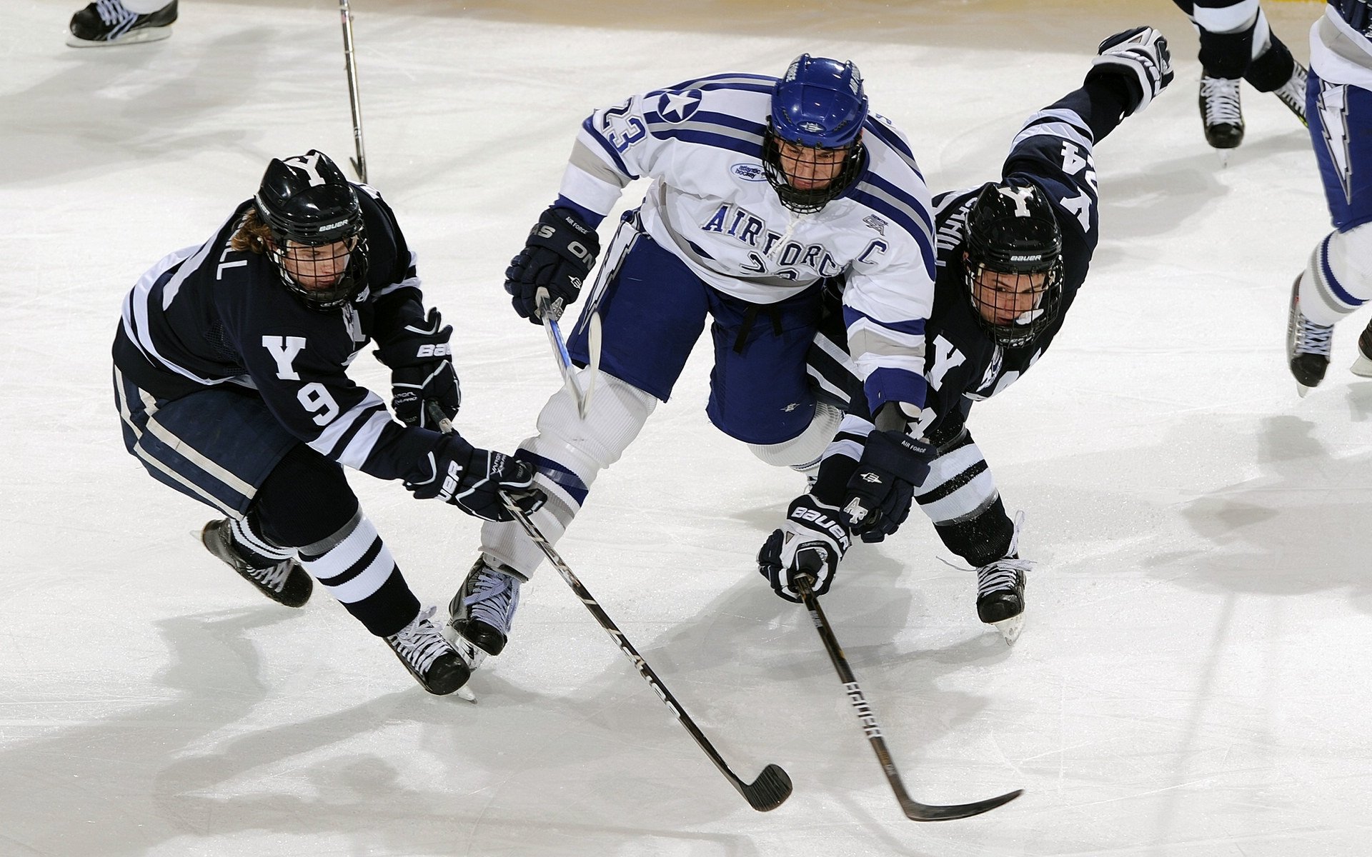 开云首页登录-“帕布罗·马特拉：阿根廷美洲狮队的旗帜性人物，迎接未来更多挑战”